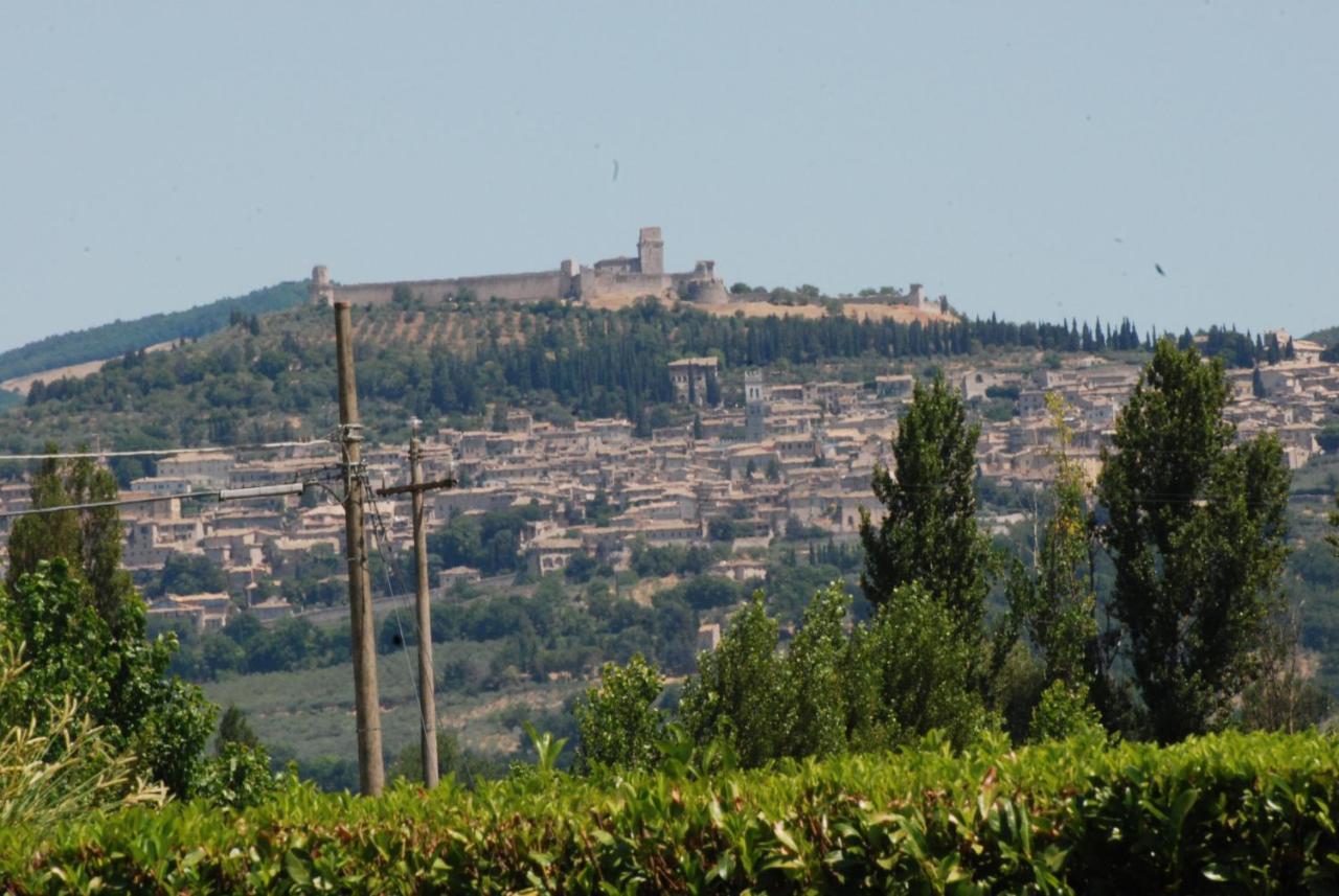 Agriturismo"Il Sagrato Di Assisi" Appartamenti,Camere Exterior foto