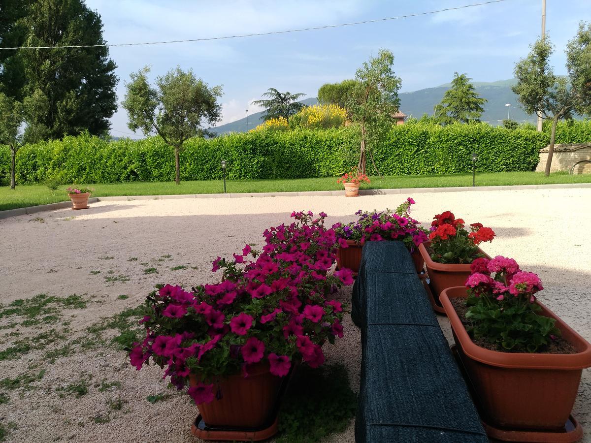 Agriturismo"Il Sagrato Di Assisi" Appartamenti,Camere Exterior foto